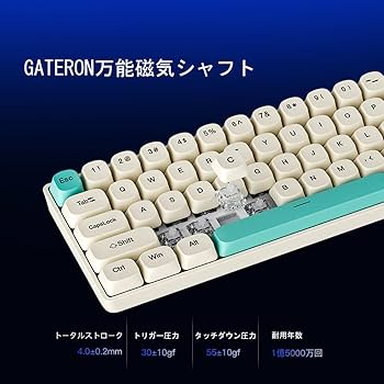 ゲーミングキーボード メカニカル式 磁気軸 精度RT0.04mm RGB発光 6 61TFI-5VxGL._UF350,350_QL50_.jpg